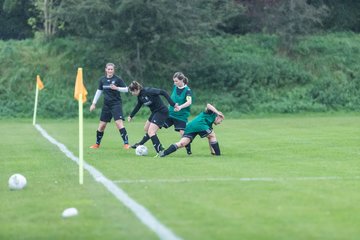 Bild 131 - F SG Daenisch Muessen - SG Blau-Rot Holstein : Ergebnis: 3:1
